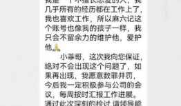 孟贺爆料张颖颖视频,真相与争议交织
